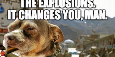 Dog saying 'the explosions, it changes you man'