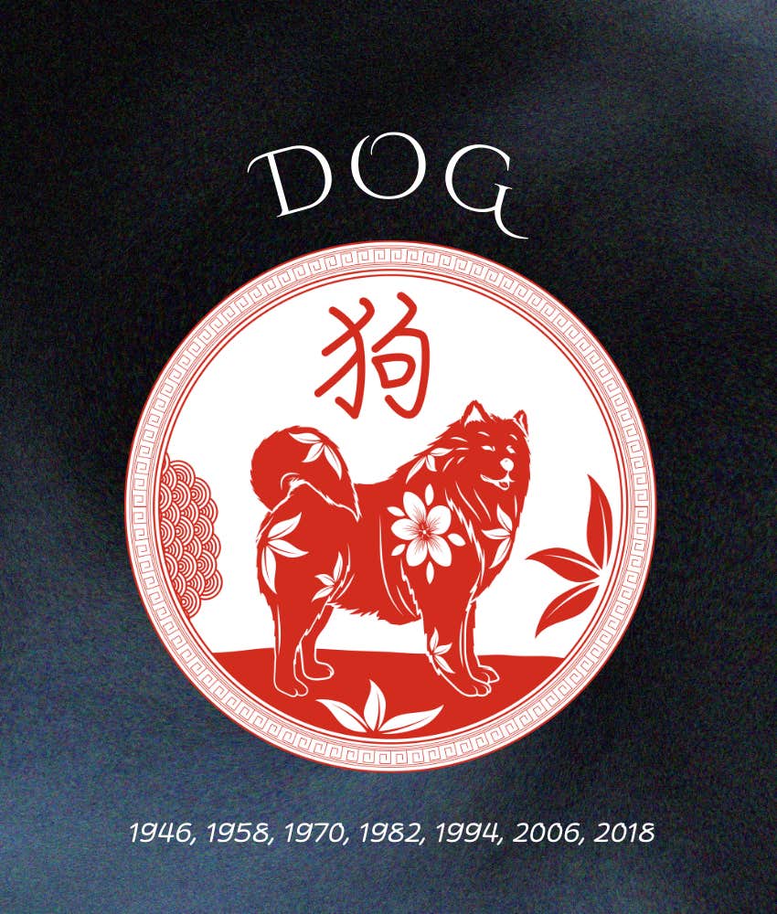 dog chinese zodiac signs wealth success 2026