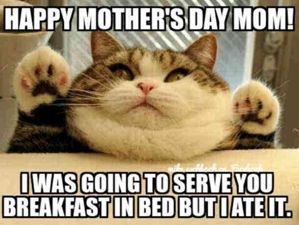 best mother's day memes funny mother's day memes