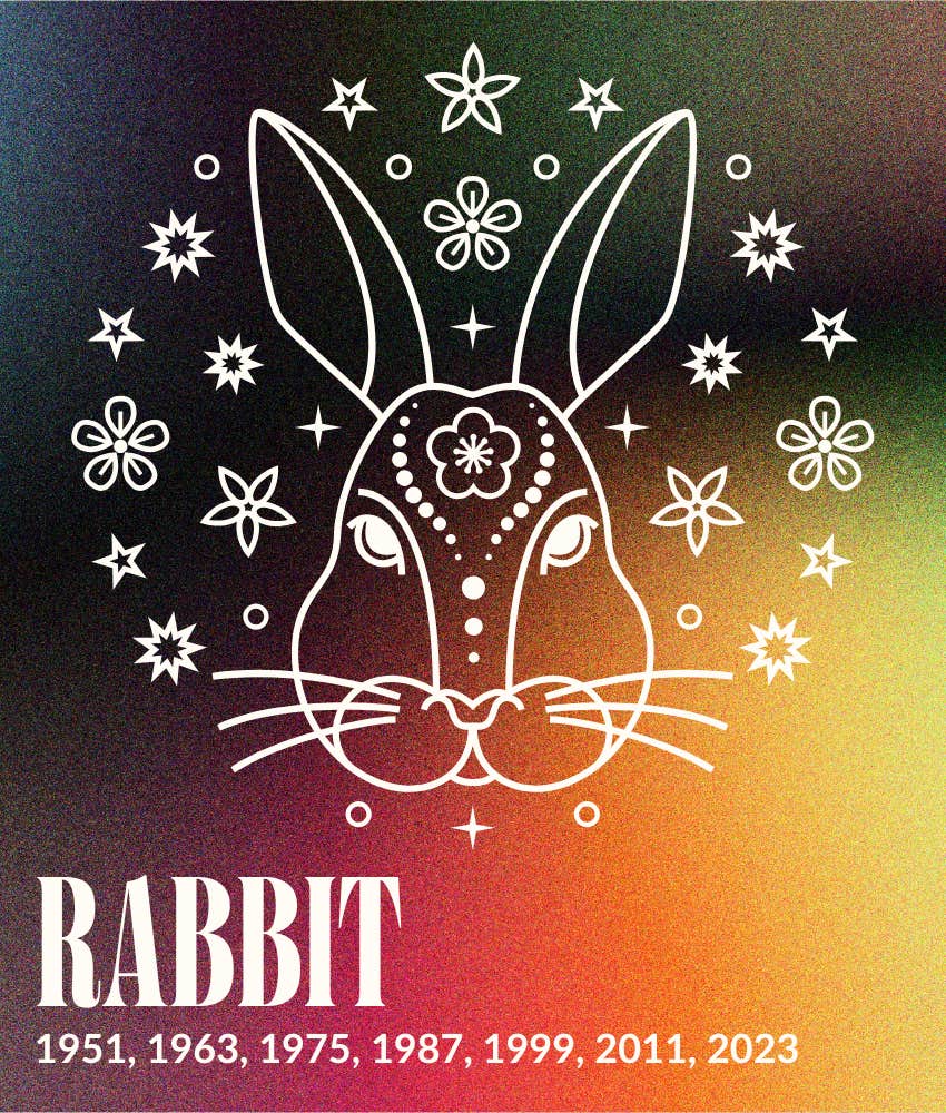 rabbit chinese zodiac signs january horoscopes 2026