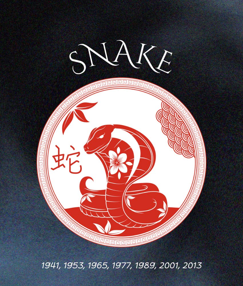 snake chinese zodiac signs wealth success 2026