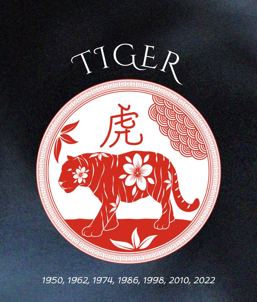 tiger chinese zodiac signs wealth success 2026